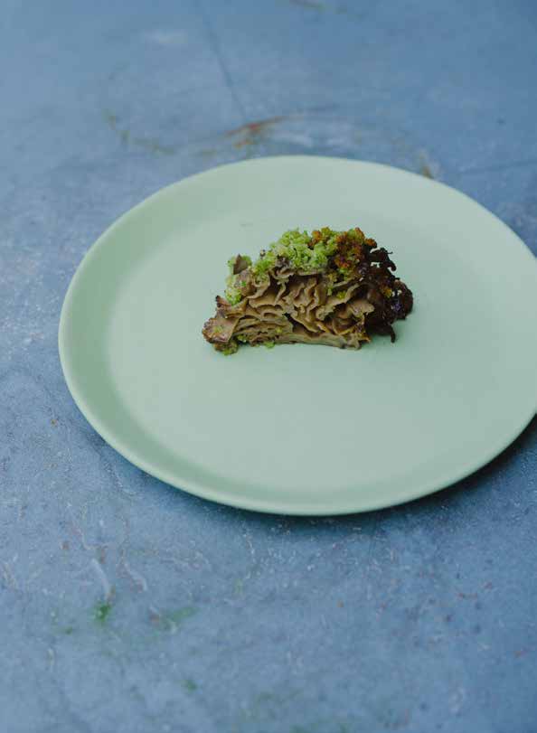 Blomkålssvamp med urterasp