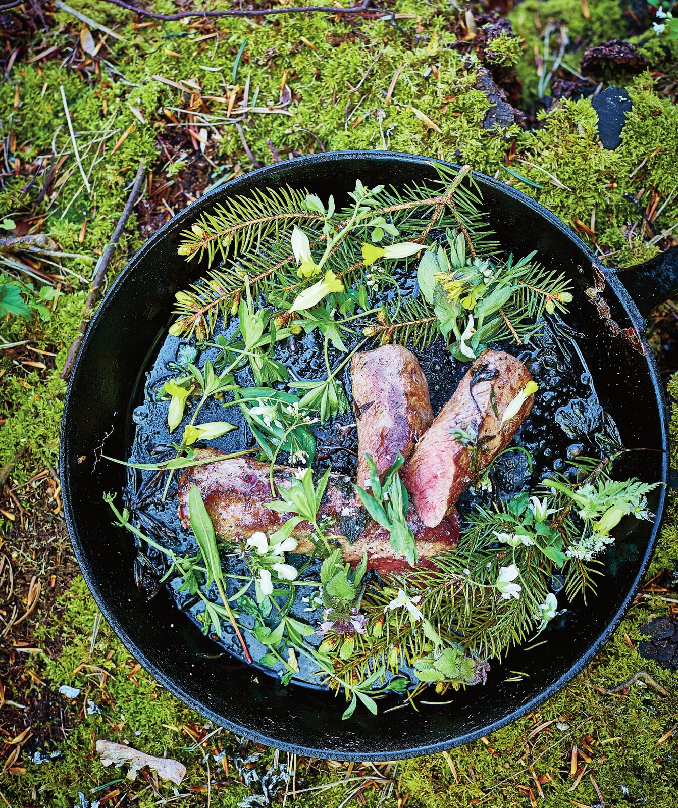 Sommerbuk med skovmærke og gran